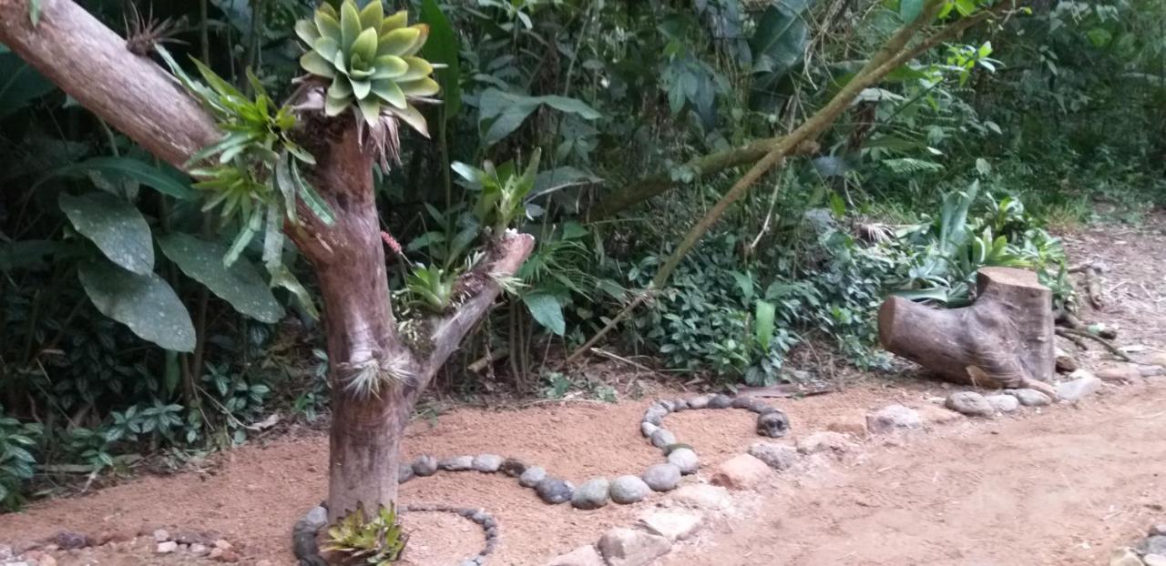 Ada Alojamento de Turismo Selvagem *
