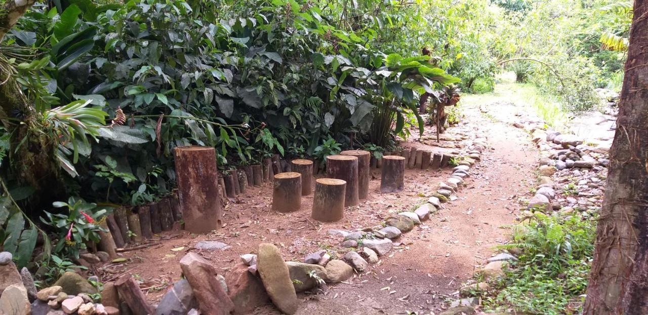 Ada Alojamento de Turismo Selvagem Rio dos Cedros