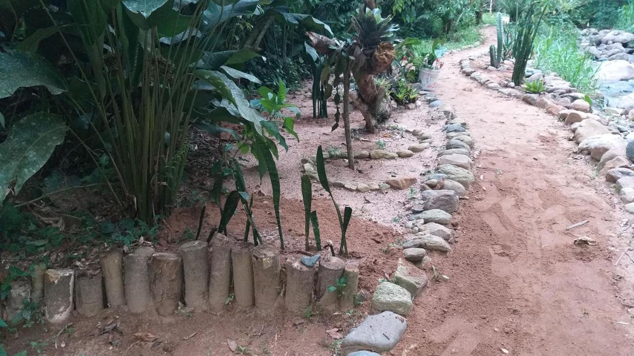 Ada Alojamento de Turismo Selvagem