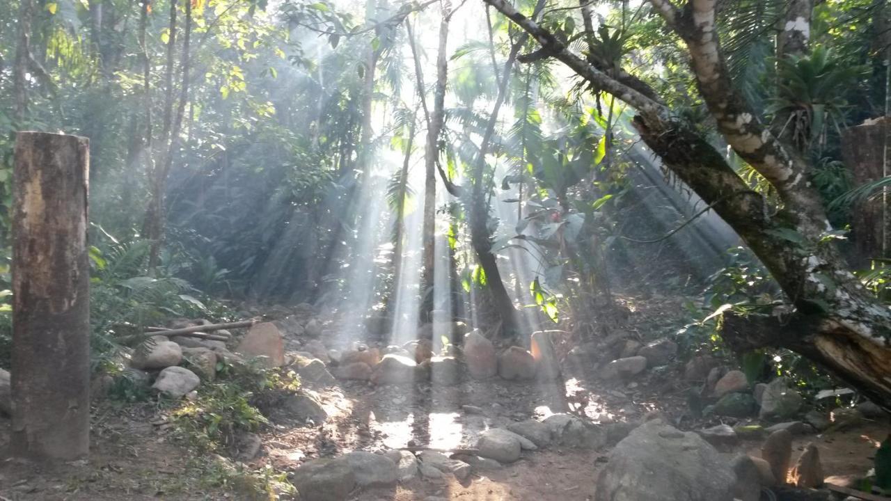 Ada Alojamento de Turismo Selvagem
