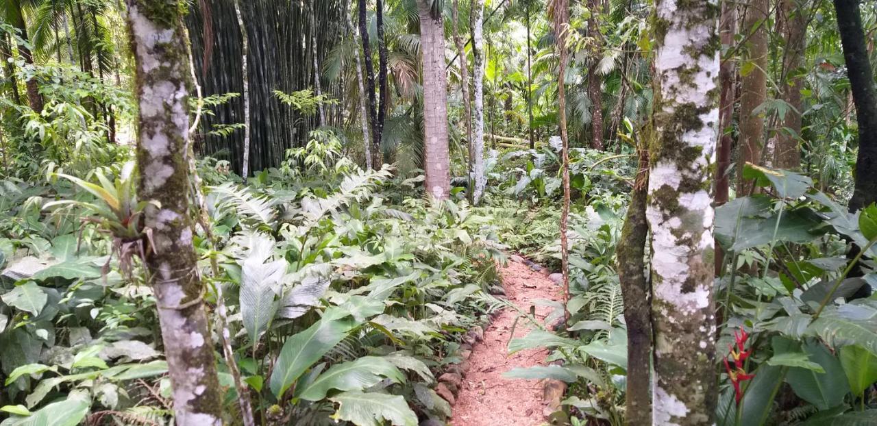 Ada Alojamento de Turismo Selvagem