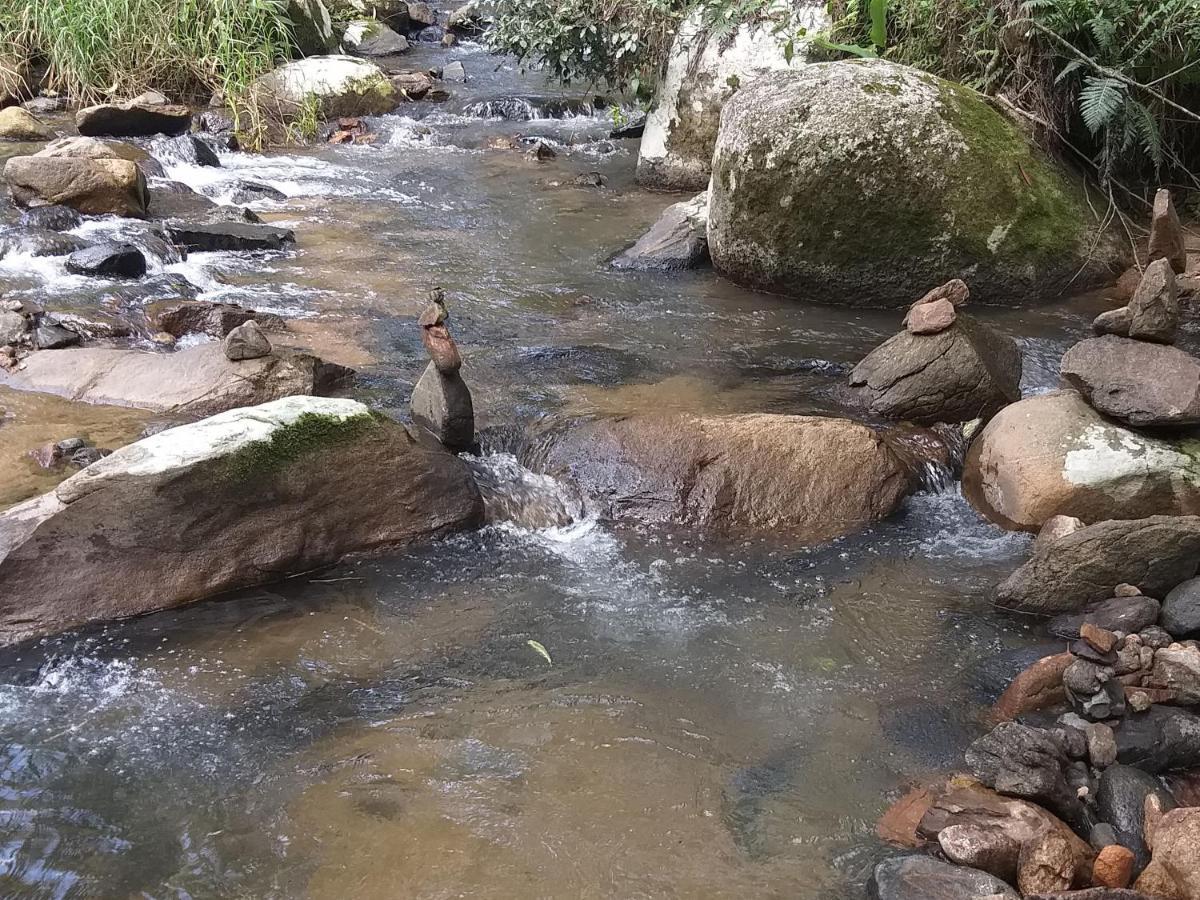 Ada * Rio dos Cedros