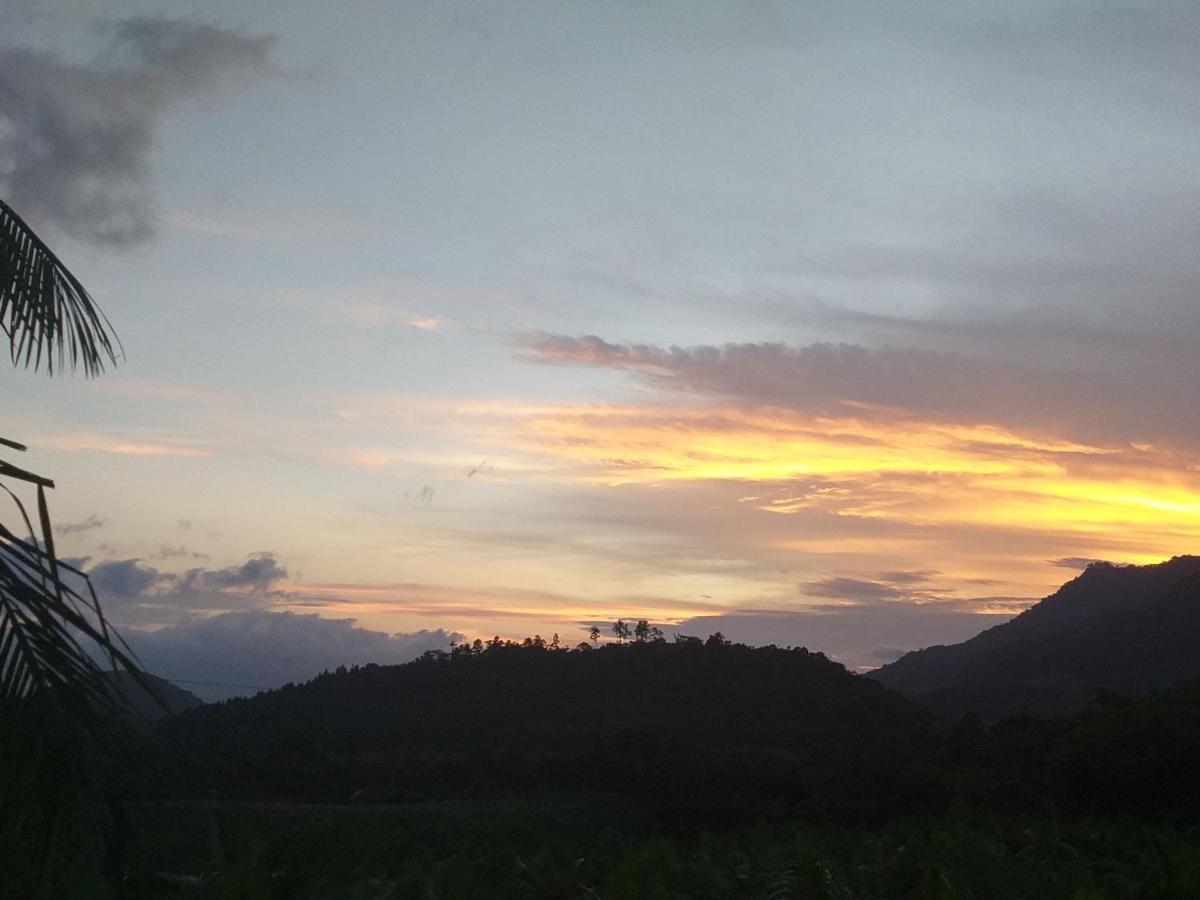 Ada * Rio dos Cedros