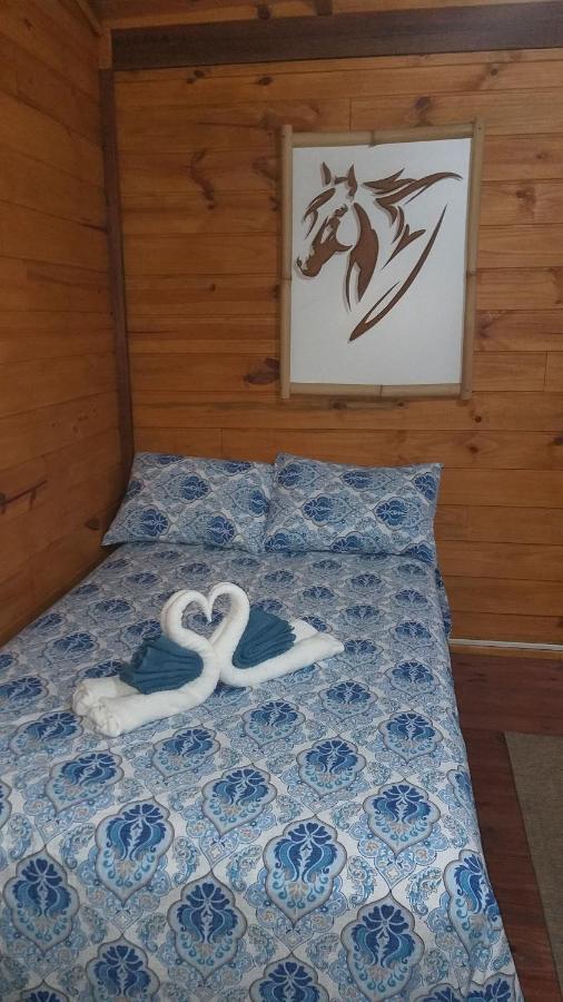 Lodge Ada